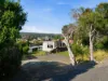 4 Penzance Road, Eaglehawk Neck, Tas 7179-Image
