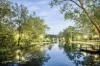 4 Piccadilly Place, Forest Lake, Qld 4078-Image