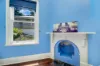 4 Picton Crescent, Bunbury, WA 6230-Image