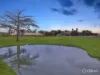 4 Pivato Court, Cannons Creek, Vic 3977-Image