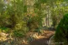 4 Portman Road, The Patch, Vic 3792-Image