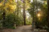4 Portman Road, The Patch, Vic 3792-Image