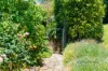 4 Prince Street, Mittagong, NSW 2575-Image
