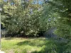 4 Protea Court, Banksia Park, SA 5091-Image