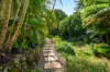 4 Red Bean Close, Suffolk Park, NSW 2481-Image