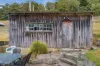 4 Renison Street, Derby, Tas 7264-Image