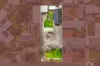 4 Renown Avenue, Seacliff Park, SA 5049-Image