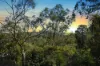 4 Riley Road, Upwey, Vic 3158-Image