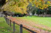 4 Rubens Grove, Canterbury, Vic 3126-Image