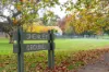 4 Rubens Grove, Canterbury, Vic 3126-Image