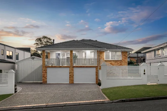 4 Safari Street, Chermside West QLD 4032-Image