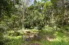 4 Sapling Court, Pomona, Qld 4568-Image