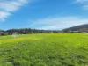 4 Schouten Street, Warrane, Tas 7018-Image
