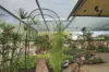 4 Seventh Street, Morgan, SA 5320-Image