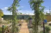4 Seventh Street, Morgan, SA 5320-Image