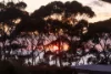 4 Shipton Crescent, Mollymook, NSW 2539-Image