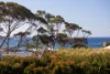4 Shipton Crescent, Mollymook, NSW 2539-Image