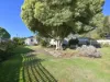 4 South Crescent, Maydena, Tas 7140-Image