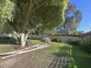 4 South Crescent, Maydena, Tas 7140-Image