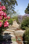 4 Sowter Court, Donvale, Vic 3111-Image