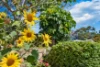 4 Sulina Court, Duncraig, WA 6023-Image