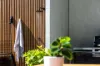 4 Terragong Avenue, Bawley Point, NSW 2539-Image