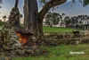 4 Travers Lane, Howth, Tas 7316-Image