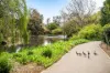 4 Trestrail Street, Magill, SA 5072-Image