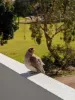 4 Undanbi Lane, Twin Waters, Qld 4564-Image