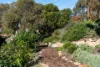 4 University Way, Bellevue Heights, SA 5050-Image
