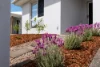 4 Valour Street, Palmview, Qld 4553-Image