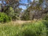 4 Vinecombe Road, Port Julia, SA 5580-Image