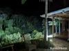 4 Whyanbeel Rd, Whyanbeel, Qld 4873-Image