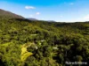 4 Whyanbeel Rd, Whyanbeel, Qld 4873-Image