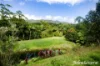4 Whyanbeel Rd, Whyanbeel, Qld 4873-Image