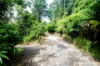 4 Whyanbeel Rd, Whyanbeel, Qld 4873-Image