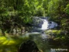 4 Whyanbeel Rd, Whyanbeel, Qld 4873-Image