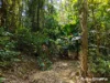 4 Whyanbeel Rd, Whyanbeel, Qld 4873-Image