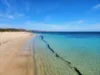 4 Williss Drive, Normanville, SA 5204-Image