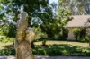 4 Wingeretta Close, Forest Grove, NSW 2795-Image
