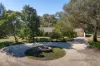 4 Wingeretta Close, Forest Grove, NSW 2795-Image