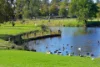 4 Winifred Crescent, Glen Iris, Vic 3146-Image