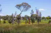 4 Yabby Way, Throsby, ACT 2914-Image