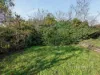 40 Arthur Street, West Hobart, Tas 7000-Image