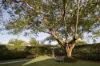 40 Bennison Street, Ascot QLD 4007-Image