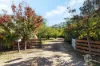 40 Blackburn Street, Bittern, Vic 3918-Image