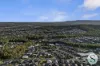 40 Blackwood Circuit, Cameron Park, NSW 2285-Image