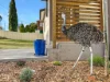 40 Bligh Street, Cooma, NSW 2630-Image