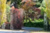 40 Bundanoon Road, Exeter, NSW 2579-Image