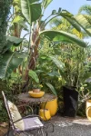 40 Cavalry Way, Sippy Downs, Qld 4556-Image